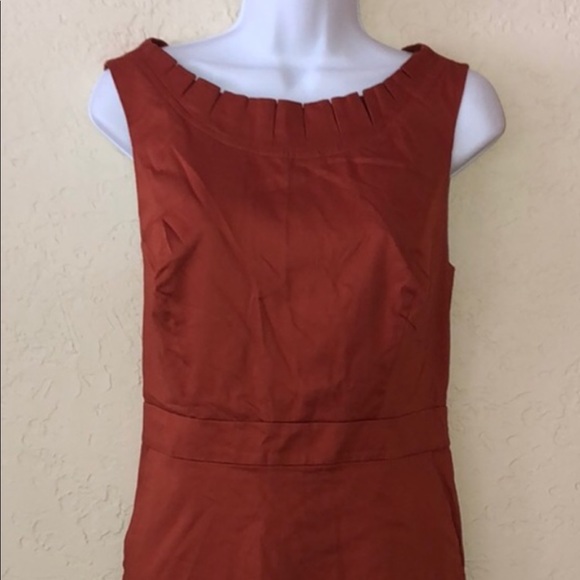 The Limited Dress - Picture 4 of 4